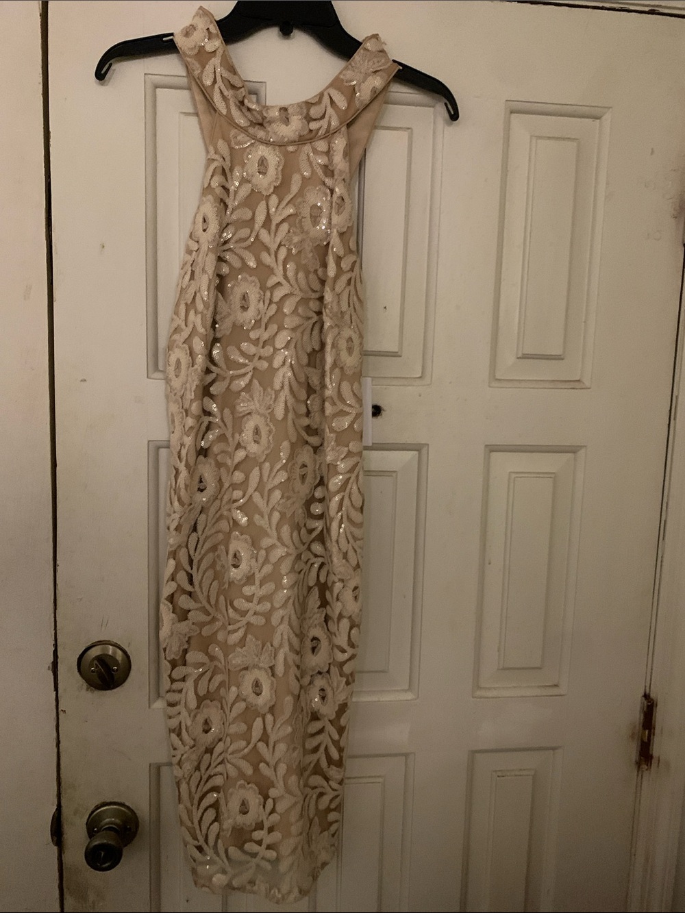 Badgley Mischka Sequin Floral Lace Maxi Dress in Ivory and Nude